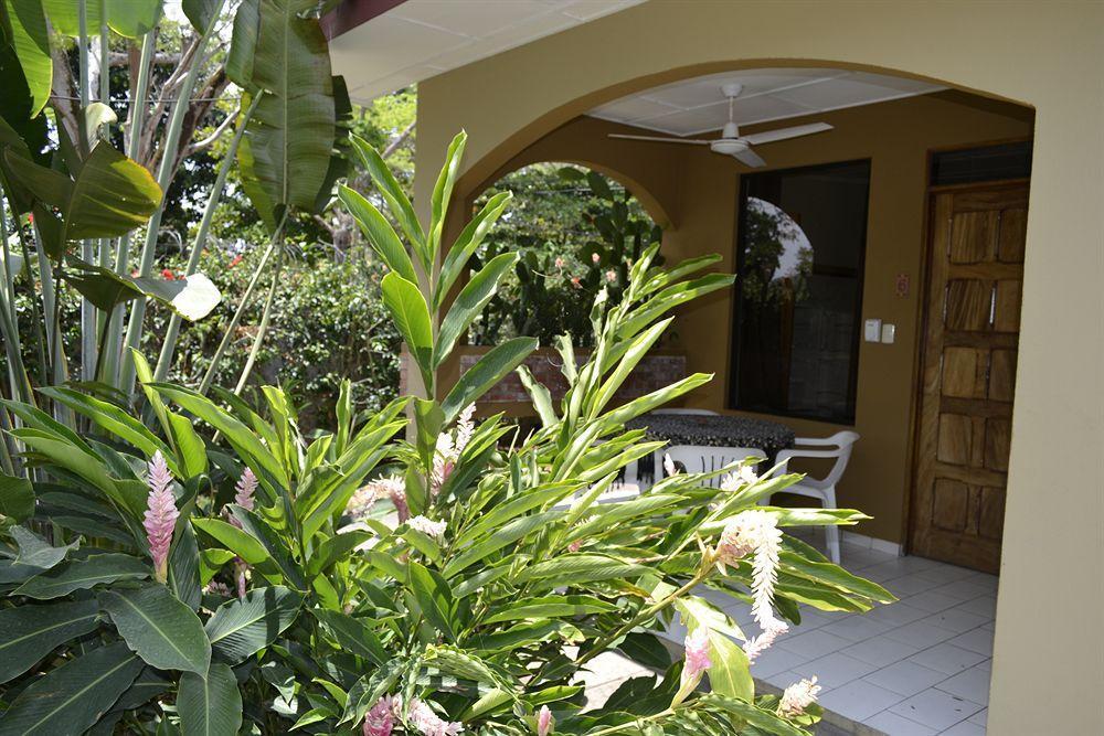 Villa Creole Jaco Exterior photo