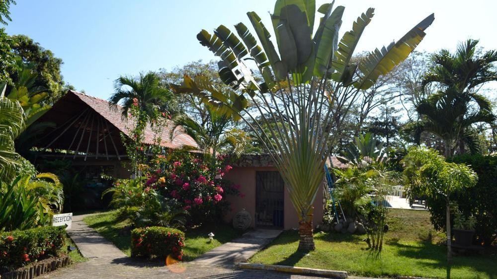 Villa Creole Jaco Exterior photo